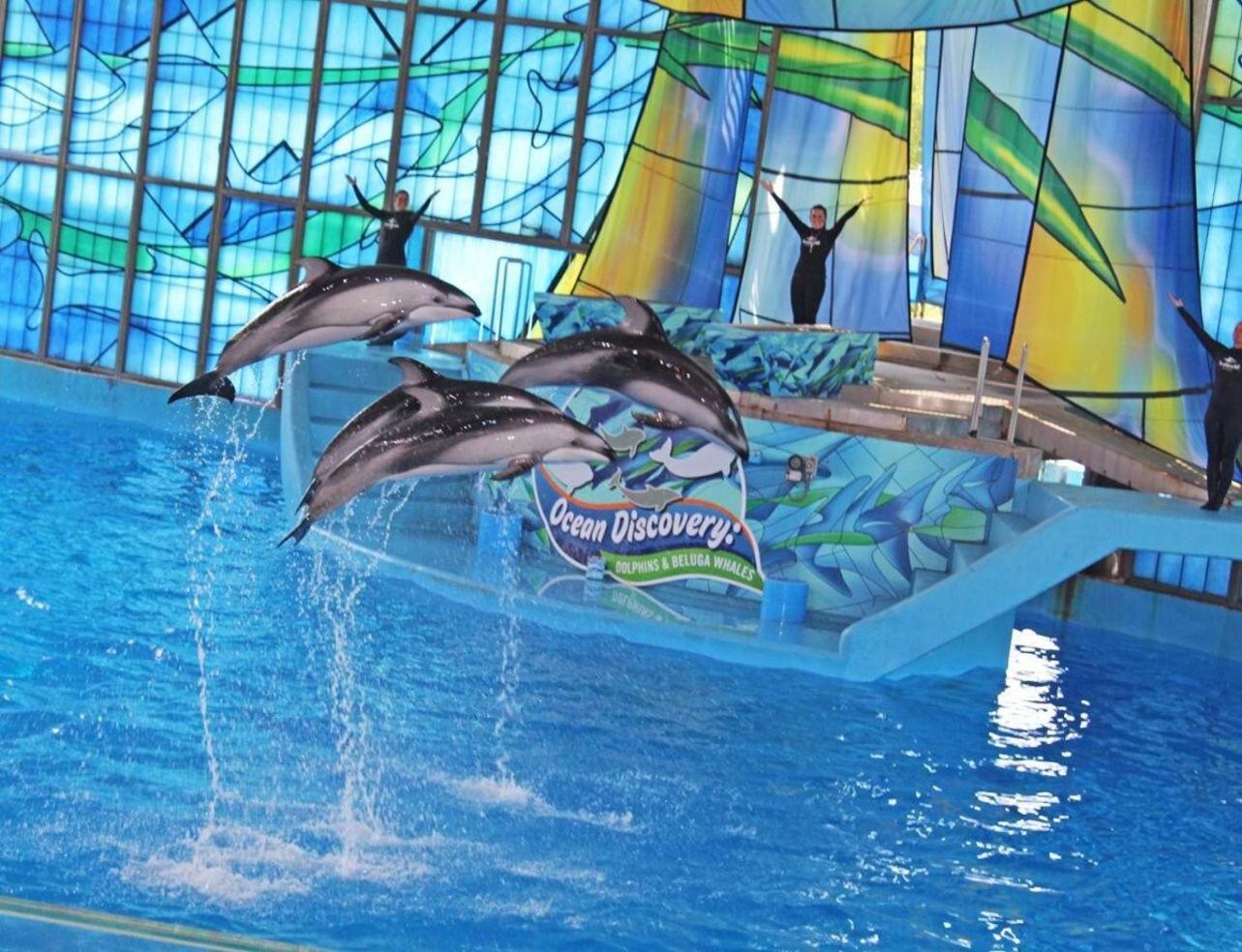 Gameroom, Bbq & Hot-tub By Lackland & Seaworld Ferienhaus